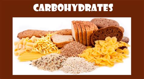 Carbohydrates are the main source of energy for human body. How many carbohydrates do you really need? | Metabolism ...