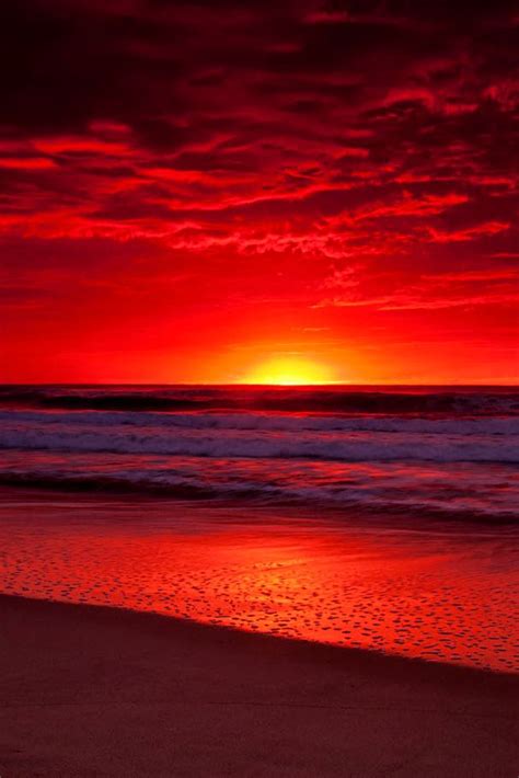 amazing sunset red sunset sunset beach sunrise sunset beach sunsets sunset nature sunset
