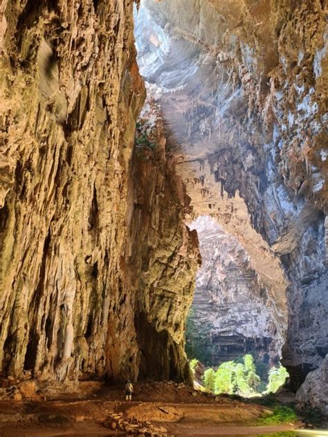 In The International Year Of Caves And Karst Brazilian Caves Are At