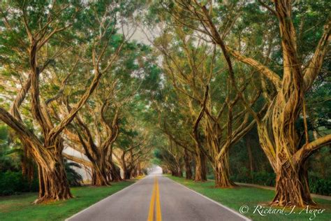 Place Called Hobe Southeast Florida Florida Landscape Photography By
