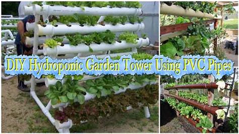 Diy Hydroponic Garden Tower Using Pvc Pipes