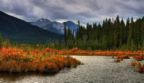 Beautiful Autumn Color Stock Photo Image Of Calm Hiking 151612380
