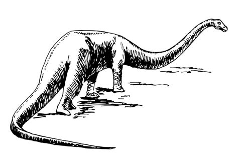 Kleurplaat dinosaurus ankylosaurus afb 29402 images. Kleurplaat dinosaurus. Gratis kleurplaten om te printen - afb 30132.