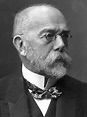 125 years after Robert Koch's discovery of the tubercle bacillus: the ...