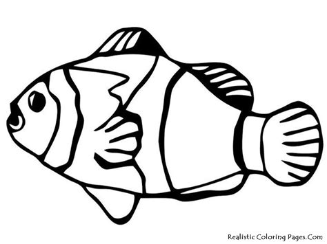Parents, teachers, churches and recognized nonprofit organizations may print or copy multiple fish coloring pages for use at home or in the. Realistic Fish Drawing at GetDrawings | Free download