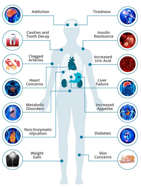 The Effects Of Sugar On The Body