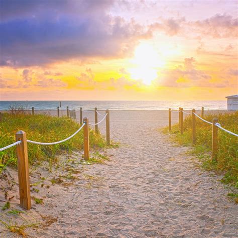 Beach Path At Sunrise In Miami Beach Florida Kim Cochranekim Cochrane