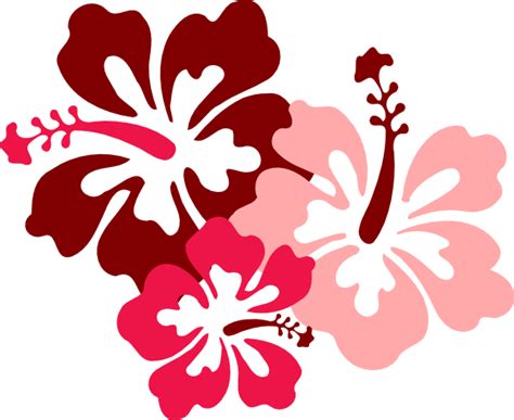 Hibiscus Vector Clipart Best