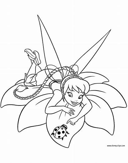 Coloring Fawn Fairy Tinkerbell Pages Printable Fairies