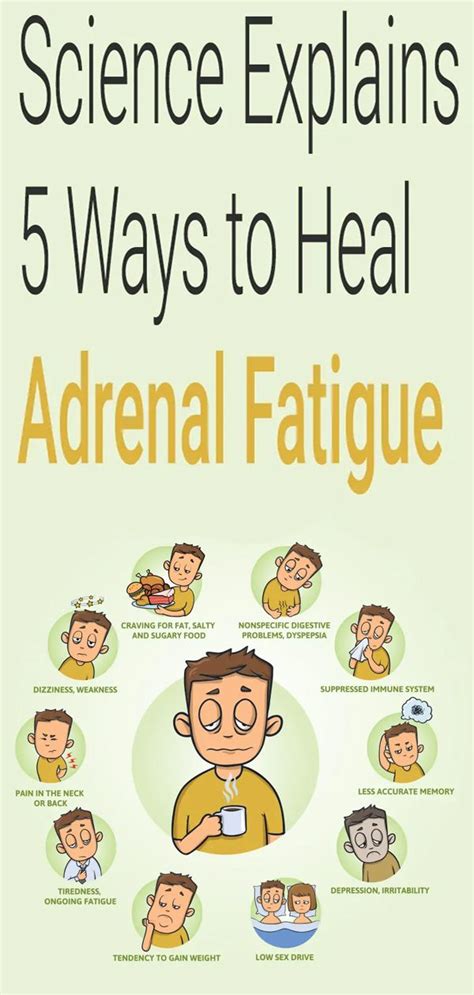 Science Explains 5 Ways To Heal Adrenal Fatigue Adrenal Fatigue