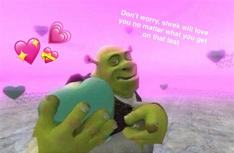 Pin Rosapaterson Cute Memes Cute Love Memes Shrek Memes