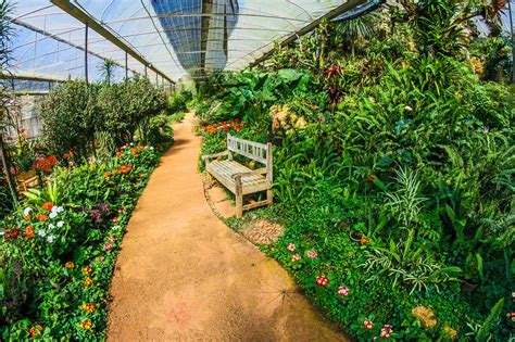 Greenhouse Garden · Free Stock Photo