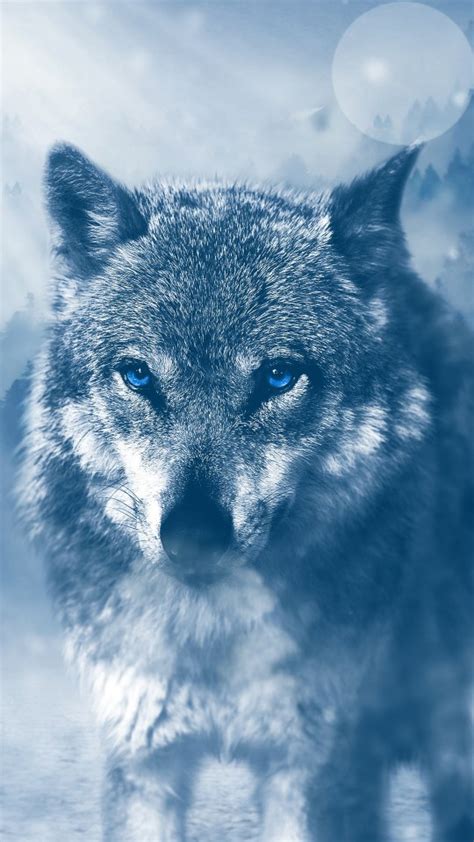 Wolf wallpapers, backgrounds, images 3840x2400— best wolf desktop wallpaper sort wallpapers by: Wild Wolf 4K Wallpapers | HD Wallpapers | ID #19486