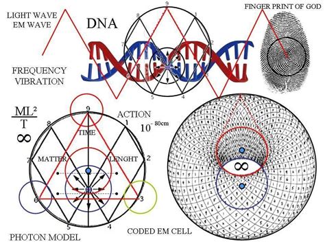 Dna Phi Vortex Energy Secret Energy Sacred Geometry Geometry