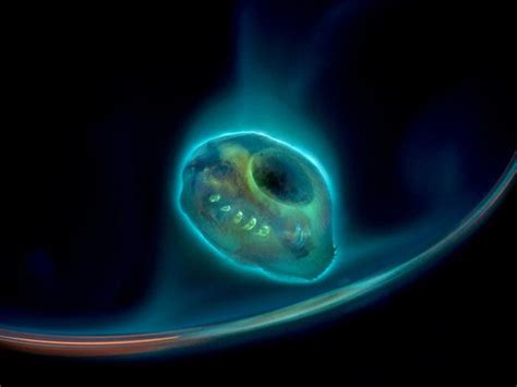 A Water Flea Under Fluorescent Light It Looks Planetary In Scale In