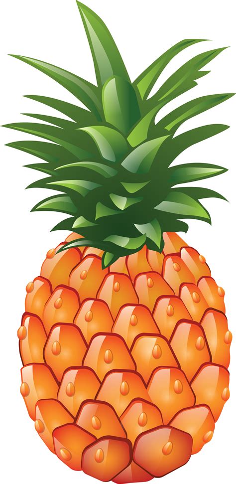 Pineapple PNG image, free download | Pink flamingo party, Pineapple images, Pineapple
