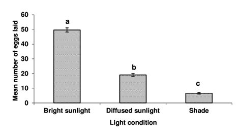 oviposition preference of spalgis epius under different light download scientific diagram