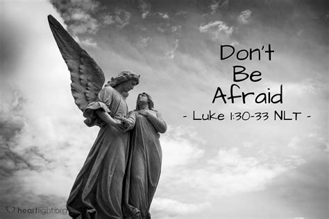 Descubre oraciones que usan don't be stressed out en la vida real. "Don't Be Afraid" — Luke 1:30-33 (What Jesus Did!)