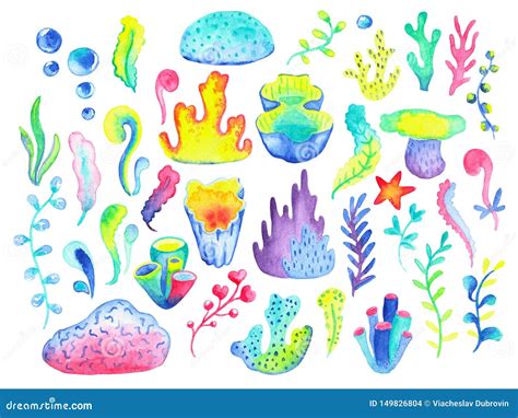 Coral And Water Plant Handdrawn On White Background Floral Decor