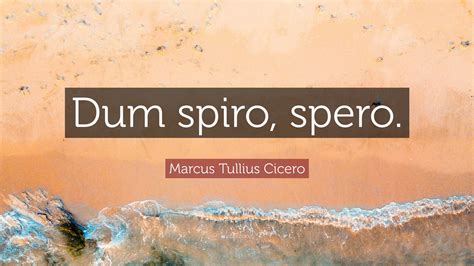 Marcus Tullius Cicero Quote Dum Spiro Spero