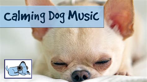 Calming Dog Music For Your Stressedanxious Pet Relax Your Dog With