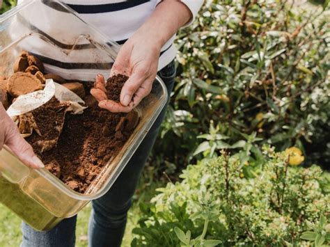 How to Keep Chipmunks Away with Natural Coffee Grounds