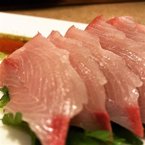 Untitled — The Return Fresh Japanese Hamachi Sashimi This