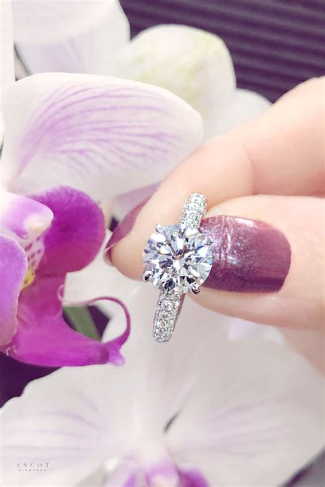 Round Diamond Solitaire Custom Ring Ascot Diamonds Dream Engagement
