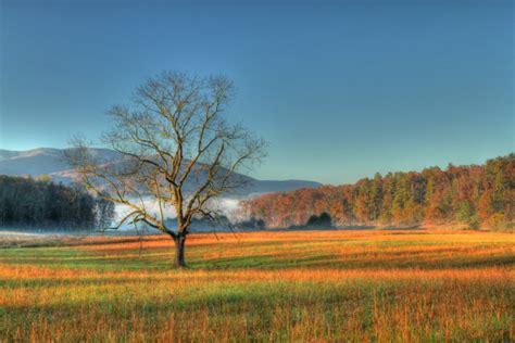 Is The Cades Cove Weather Seasonal