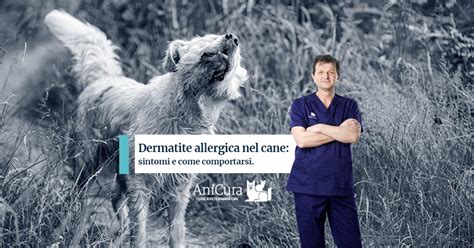 Dermatite Allergica Nel Cane Sintomi E Come Comportarsi Clinica Veterinaria Cmv Varese