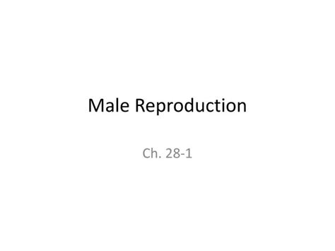 Ppt Male Reproduction Powerpoint Presentation Free Download Id2421607