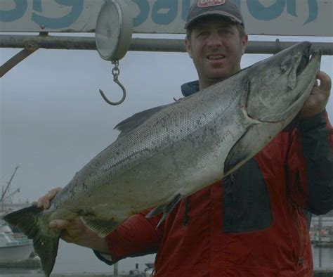 Season Is June Through September Of Each Year Salmon Fishing