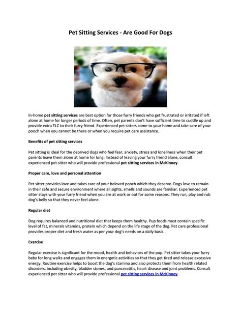 Pet Sitting Services - Are Good for Dogs | Pet sitting services, Pet sitting, Pets
