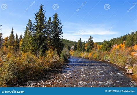 Fall Foliage By The Creek In Colorado Rocky Mountains Stock Image