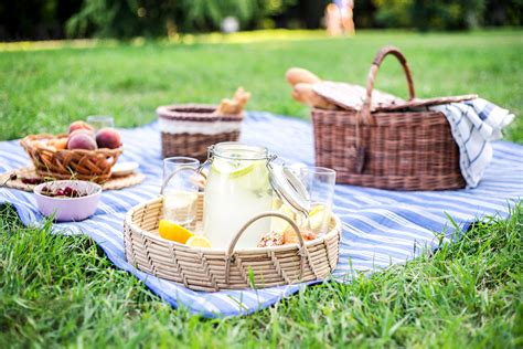 10 Best Picnic Blankets For Your Next Sunny Day Lunch Break Indy100