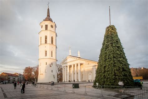 Vilniuje jau kyla Kalėdų eglutė - DELFI