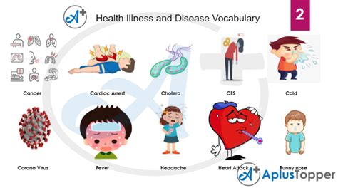 illness and diseases vocabulary list of common health problems and diseases with description