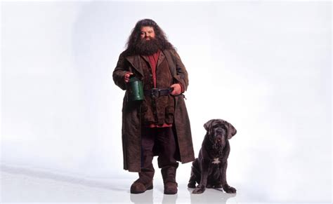 Hagrid Costume Diy Guides For Cosplay And Halloween