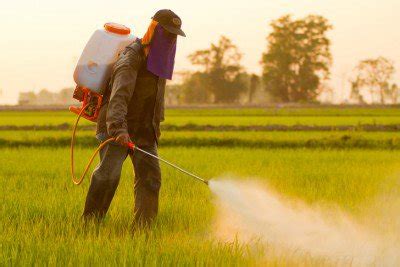 Farmers Caught In Political Debate Whether Herbicide Glyphosate Used With GMOs Causes Cancer
