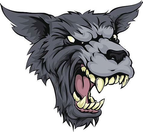 240 Wolf Face Mean Stock Photos Pictures And Royalty Free Images Istock