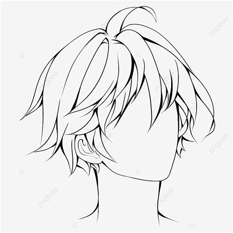 Anime Hairstyles Anime Drawing Hair Drawing Hairstyle Drawing Png