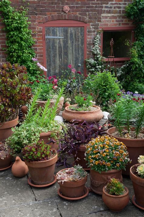 Container Gardening Advice And Ideas For Gardening In Pots In 2020