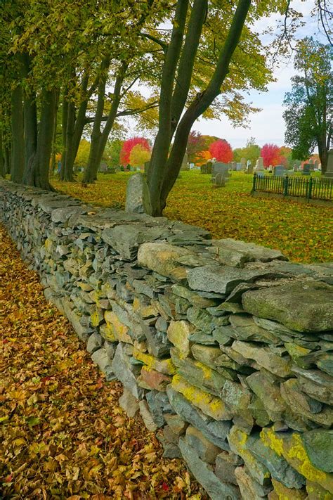 New England Stone Wall 2 Photograph By Nancy De Flon