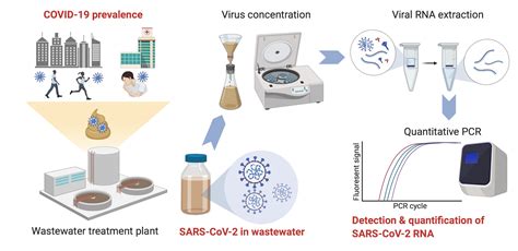 Sars Cov Rna Detected In Untreated Wastewater From Louisiana