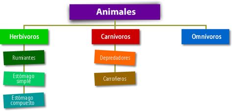 Clasificación De Los Animales Según Su Alimentación
