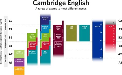 Niveles De Ingles Cambridge Nathalie Language Experiences