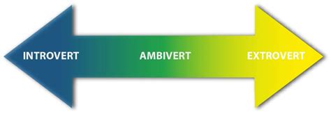 9 Signs That Youre An Ambivert Huffpost