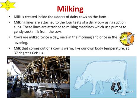 Milk Production Process Flow Chart A Visual Reference Of Charts
