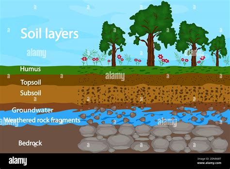 Soil Layers Diagram For Layer Of Soil Soil Scheme With Grass Dirt