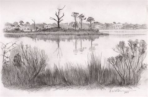 Realistic Pond Scenery Drawing Art Bald